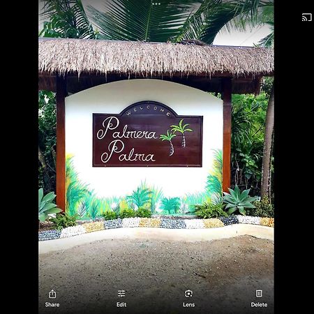 Palmera Palma Top Floor 몰볼 외부 사진