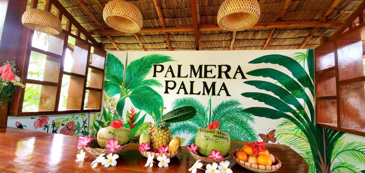 Palmera Palma Top Floor 몰볼 외부 사진
